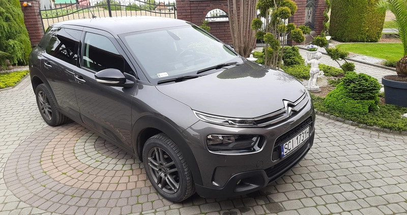 Citroen C4 Cactus cena 48900 przebieg: 79350, rok produkcji 2018 z Bogatynia małe 379